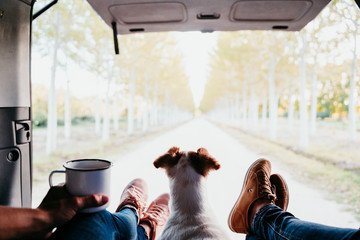 cute jack russell dog and two women legs relaxing in a van. travel concept