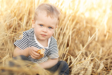 Naklejka na ściany i meble Portrait of little boy eating bread while sitting at wheat fields among golden spikes in summer day. Country life, calmness and summer relaxation, peace, environmental care and agriculture concept