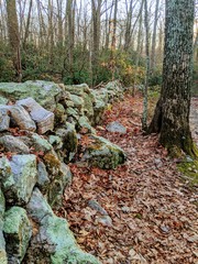 Beautiful New England rock walls