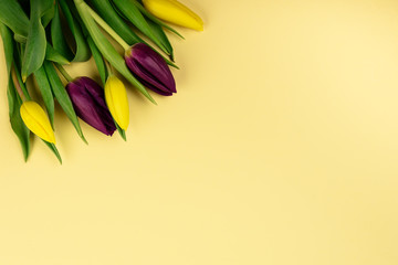 Bouquet of spring yellow and purple tulips on yellow background, top view, for Valentine's Day,  Easter, Mother's and Woman's Day.