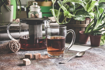 Cup of flower tea on the backdrop of a home winter garden. Home gardening and floristry concept.