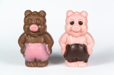 Two white and milk chocolate pigs for easter