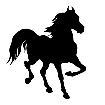 horse, black silhouette on white background, isolated monochrome image