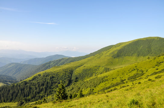  Meadow Sheshul Chornohora ridge Carpathian Mountains. Mountain road to Mount Petros, Ukraine © Dmytro