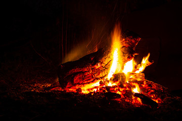 Bonfire outdoors in the evening
