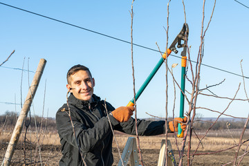 Close up portrait of the hardworking young adult european fruit grower in black jacket and orange work gloves pruning fruit tree at spring, winter, sunny day