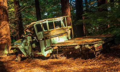 Forest Truck