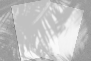 Two empty white vertical rectangle poster or business card mockups with with palm leaves shadows on soft grey concrete background. Flat lay, top view. Open composition.