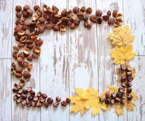 Abstract frame on a wooden white background from dry maple leaves, shells and chestnuts