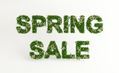Obraz na płótnie Canvas Spring sale banner concept, letters made of grass and daisies, isolated on white background, mock-up, 3d render, 3d illustration