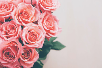 Beautiful bouquet of fresh pink roses in full bloom on white background, close up.