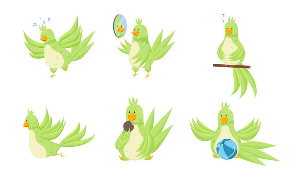 Cute funny green parrots enjoying life vector illustration