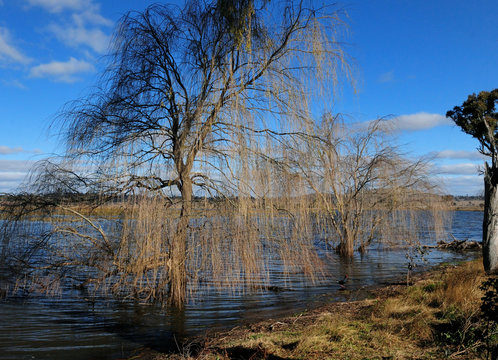 Idyllic Lake Scenery At Dangars Lagoon NSW Australia