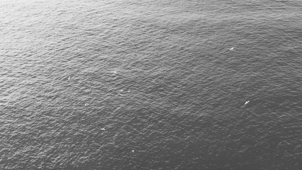 Acqua di mare ripresa dall'alto di una collina