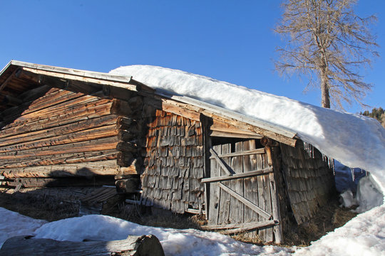 vecchia baita in legno nei pressi del Passo Occlini; Alto Adige
