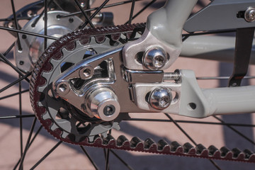 Detail of singlespeed bicycle belt drive. Rear hub with sprocket which uses belt drive instead of regular chain drive.