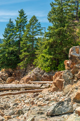 View at Trail in Park with the Hills in Vancouver, Canada.