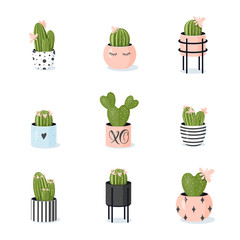 Cactus collection. Potted blooming cacti in cute stylish modern flowerpots.