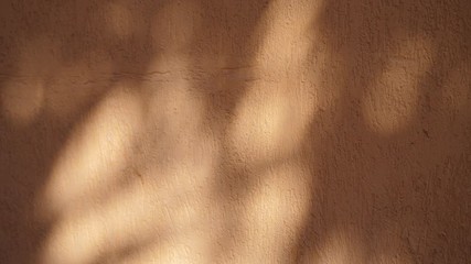 Abstract shadow texture of leaves from early morning sunlight shining on interior orange wall background, 4k video in ProRes. Shadow of leaf on the wall - Powered by Adobe