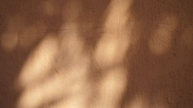 Abstract shadow texture of leaves from early morning sunlight shining on interior orange wall background, 4k video in ProRes. Shadow of leaf on the wall