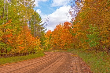 Rural Road in the Fall