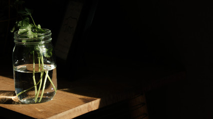 darkness surrounding plant in glass on table