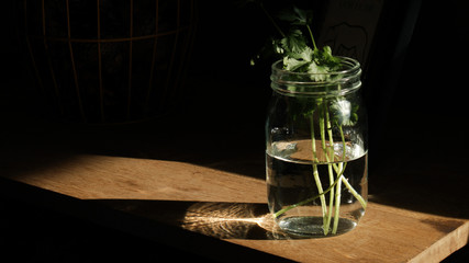 plants in glass on table