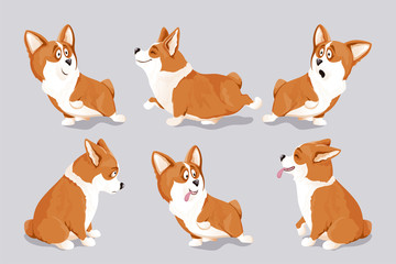 Corgi dog puppies set. Isolated, hand drawn, vector illustration.