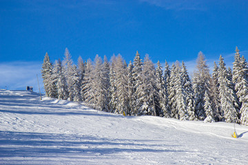 trees covered with snow at the pistes of Schladming ski resort