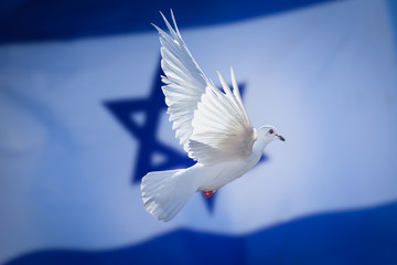 Dove of peace Israeli flag background, Israel