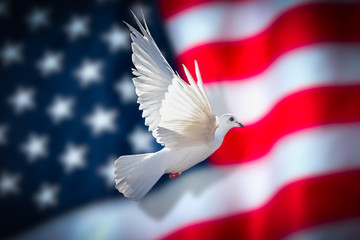 Dove of peace american flag background
