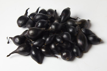 Seedlings of small dark purple onion bulbs ready for sowing in soil. Gardening concept