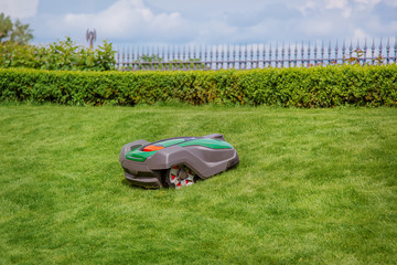 Robotic lawn mower on grass, side view. Garden modern remote technology. - obrazy, fototapety, plakaty