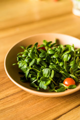 Grow sprouts of micro greens for a healthy salad. Eat right, stick to the concept of a young and modern kitchen. Ecofrendli and superfood. Raw food