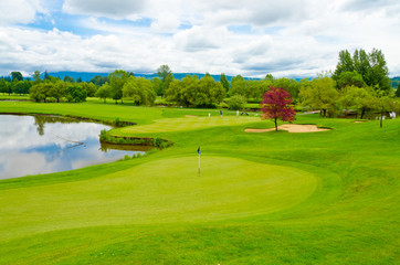 Golf course with gorgeous pond and fantastic forest view. 