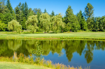 Fototapeta na wymiar Golf course with gorgeous pond and fantastic forest view.