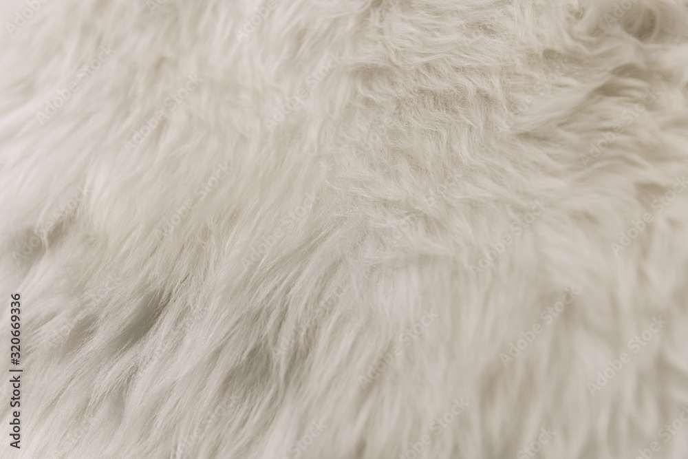 Wall mural white artificial fur texture for background close-up