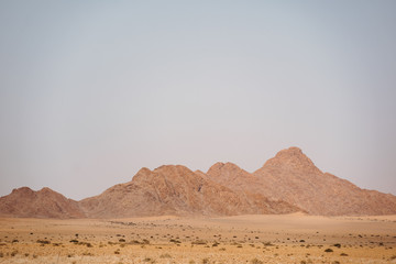 Fototapeta na wymiar red sand mountains of Namibias sussusvlei desert