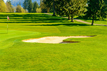 Golf course with yellow sand bunker and fantastic forest view.