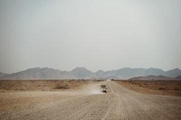 Dusty 4 x 4 car Road Trip on lonely road © wideeyes