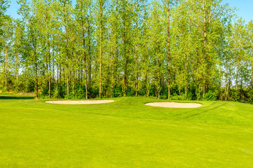Golf course with yellow sand bunker and fantastic forest view.