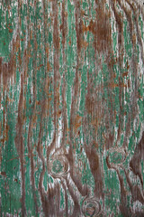 Green Wood Background
