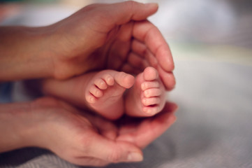Parent holding in the hands feet of newborn baby.