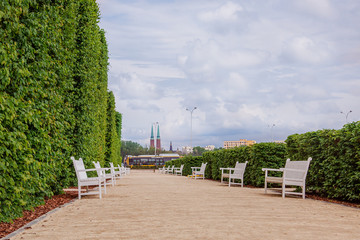 Fototapeta na wymiar White wooden park benches, green leafy background.