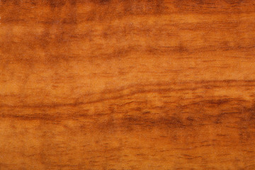 Wood Close up