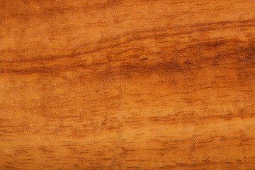 Wood Close up