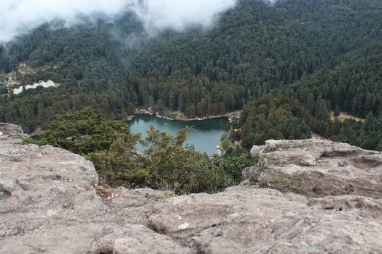 el cedral