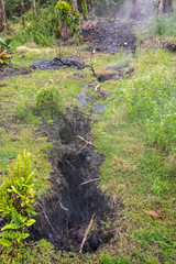 Obraz premium Leilani Estate, Hawaii, USA. - January 14, 2020: Devastation in parts untouched by 2018 lava. Black Crevasses appear in ground of all terrain letting poisonous gases and vapors out. Green bottom.