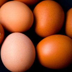  whole chicken eggs