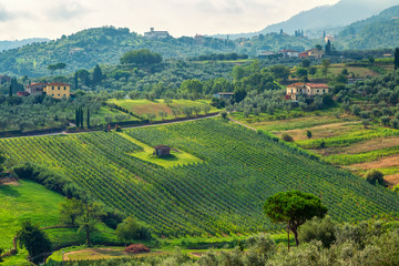 Fototapeta na wymiar Green Tuscany Landscape